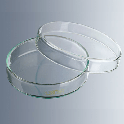 Placa Petri de vidro